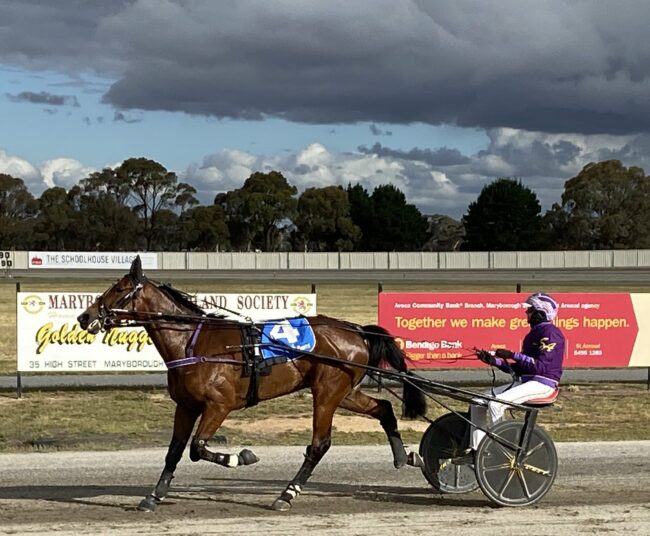 YEARLING22-FGEWnayVEAEEVPf