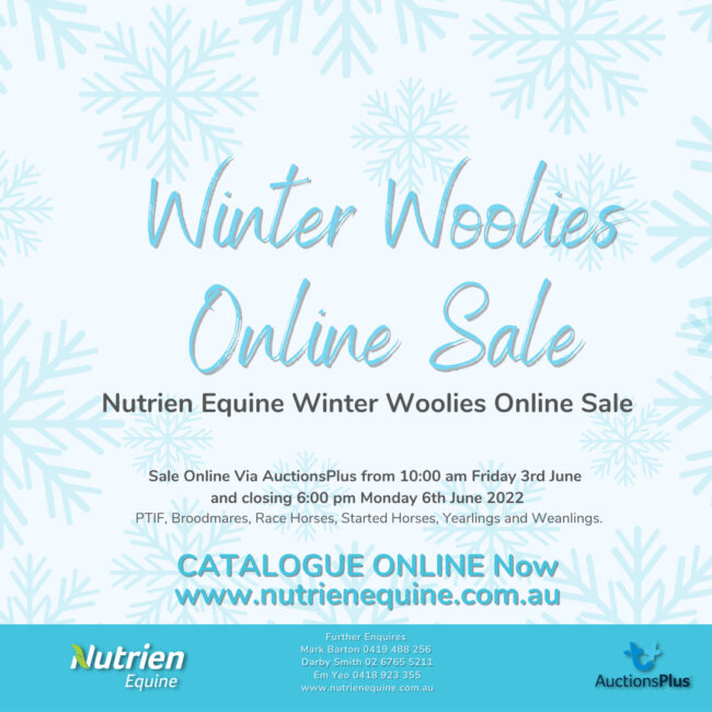 2022-Winter-Woolies-Online_Sale (1920 × 1080 px) (Instagram Post)