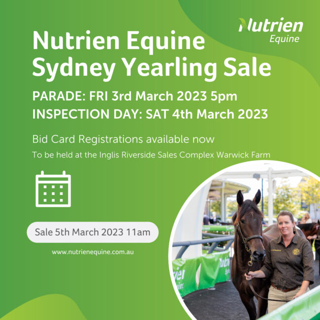 Yearling23-Sydney-promo