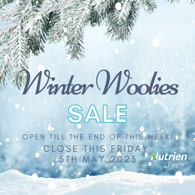 Blue Natural Winter Sale Instagram Post