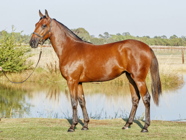 128bb390-030b-4fc2-8bdd-a8f986ab48d7.jpg Lot 295